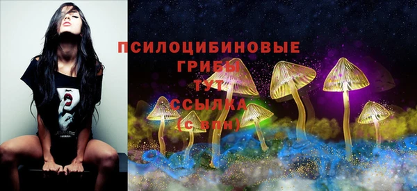 прущие крисы Верея