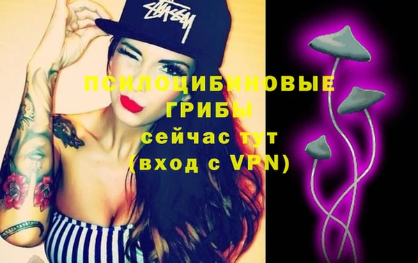 прущие крисы Верея