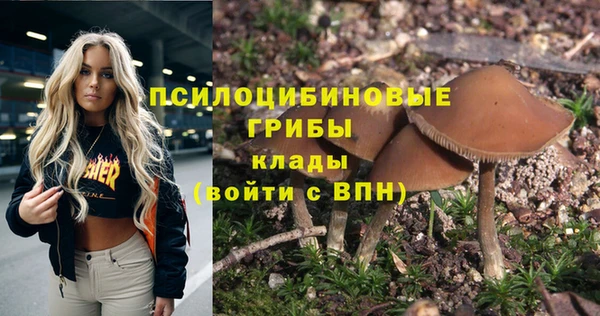соль курить ск Бородино